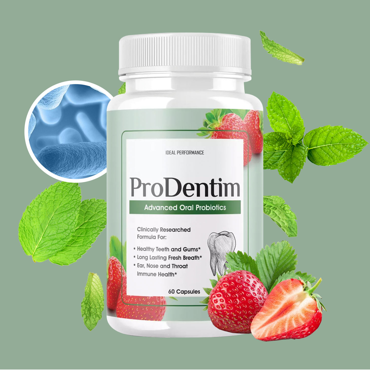 Advanced Oral Probiotics - Fre - Digestive Enzyme Blend incelemesi ve fiyatı