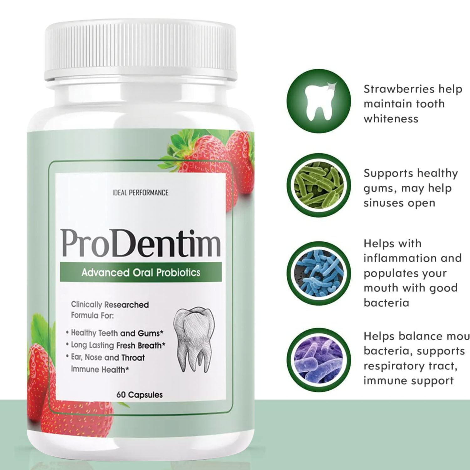Advanced Oral Probiotics - Ora - Digestive Enzyme Blend incelemesi ve fiyatı